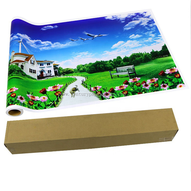 China White Eco Solvent Printing PVC Roll Printable Adhesive Vinyl Roll china-white-eco-solvent-printing-pvc-roll-printable-adhesive-vinyl-roll