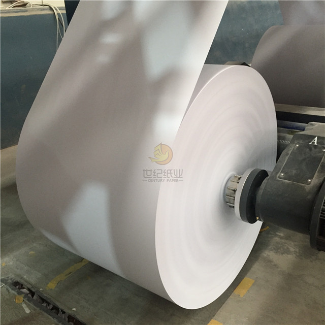 A4 Copy Paper Roll from China manufacturer Century Paper Group Co.,Ltd