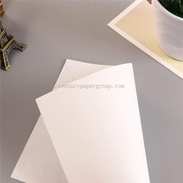 China Ivory Board Folding Box Board Sbs Paperboard manufacturers, Ivory