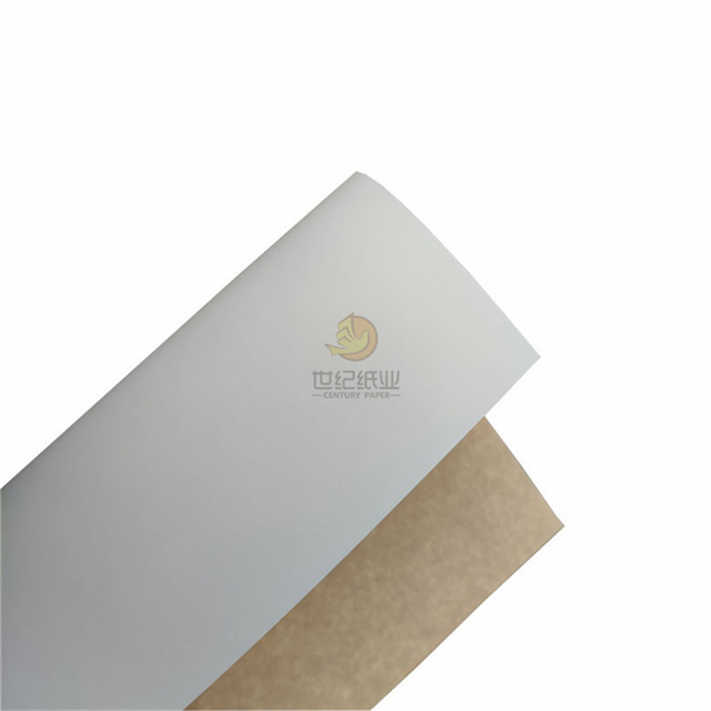 Clay Coated Kraft Back (CKB) from China manufacturer Century Paper